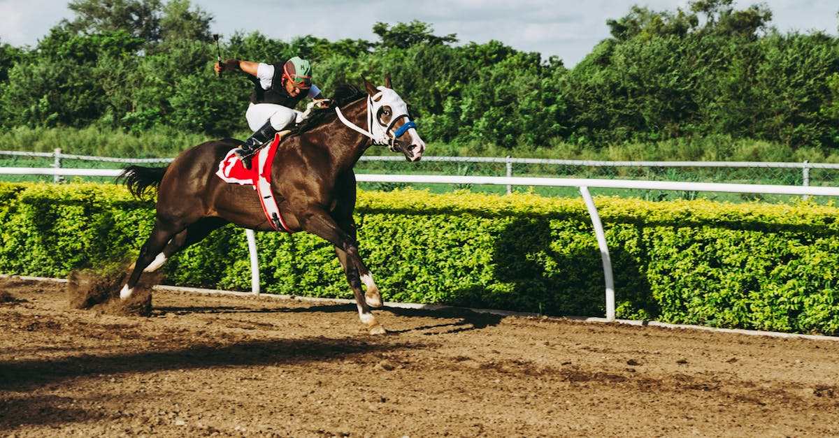 découvrez l'univers des courses hippiques : actualités, résultats, conseils sur les paris et analyses détaillées pour tout savoir sur le horse racing en france et à l'international.