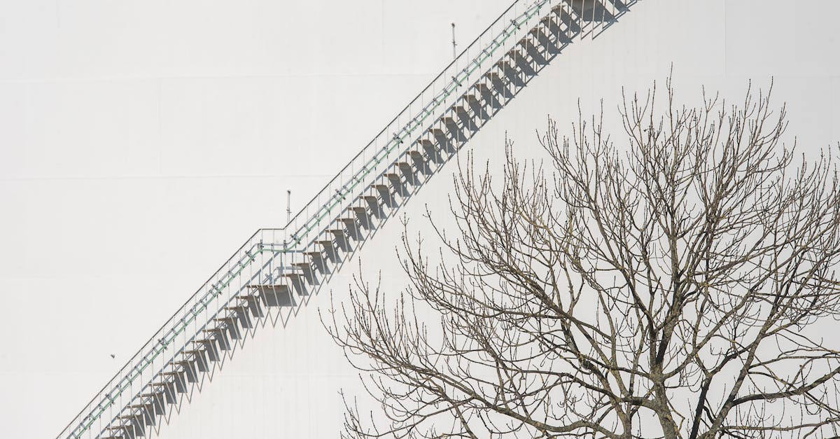 découvrez le phénomène 'industrial zombie' : une exploration unique de l'univers post-apocalyptique où l'industrie et les morts-vivants se rencontrent. plongez dans un monde futuriste à la croisée du fantastique et de la technologie.