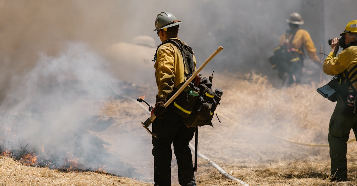 découvrez les enjeux et les conséquences des incendies de forêt, une menace croissante pour l'environnement et les écosystèmes. apprenez comment ces phénomènes naturels impactent la biodiversité, le climat et la vie humaine, et explorez les solutions pour atténuer leur impact.