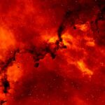 découvrez les enjeux des incendies de forêt, leurs causes, leurs conséquences sur l'environnement et les mesures de prévention à adopter pour protéger notre planète.