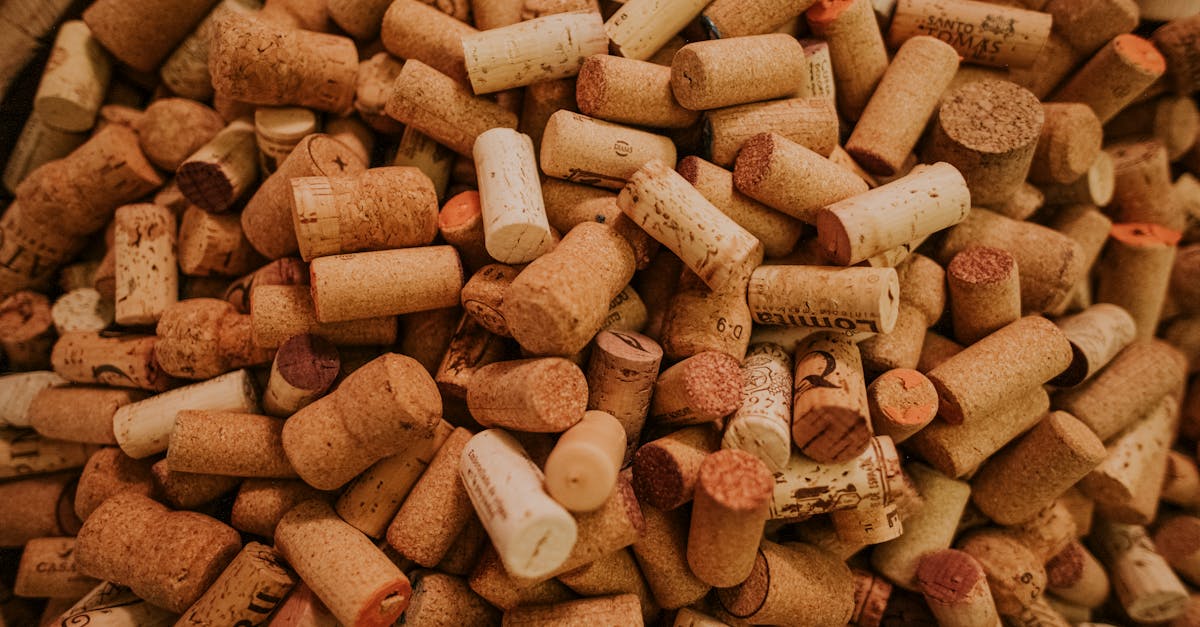 découvrez l'univers fascinant de l'industrie du vin, où tradition et innovation se rencontrent. explorez les différents cépages, les méthodes de production et les tendances du marché du vin en france et à l'international.
