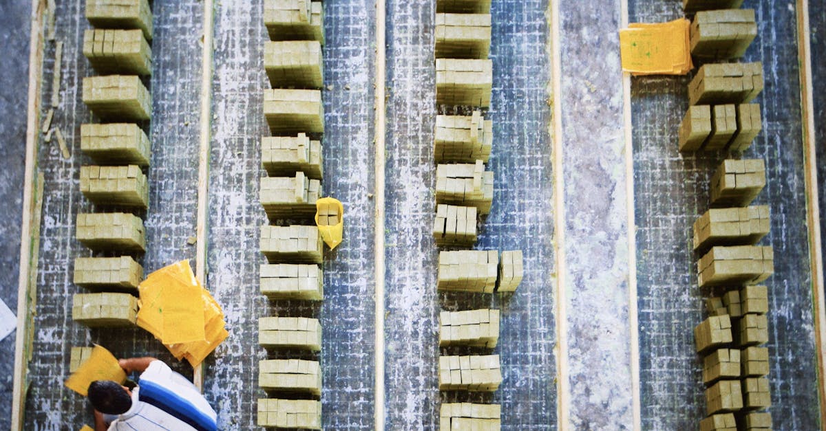 découvrez tout sur la production industrielle : définitions, enjeux, innovations et son impact sur l’économie moderne. explorez les tendances et les meilleures pratiques du secteur.