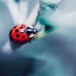 découvrez la signification du terme 'decline', ses utilisations en français et en anglais, ainsi que des exemples concrets pour mieux comprendre ce mot essentiel dans différents contextes.