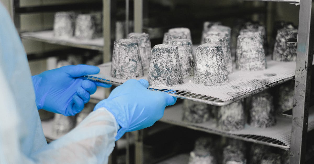 découvrez tout sur la production industrielle : processus, innovations, enjeux et solutions pour optimiser la fabrication dans le secteur industriel.