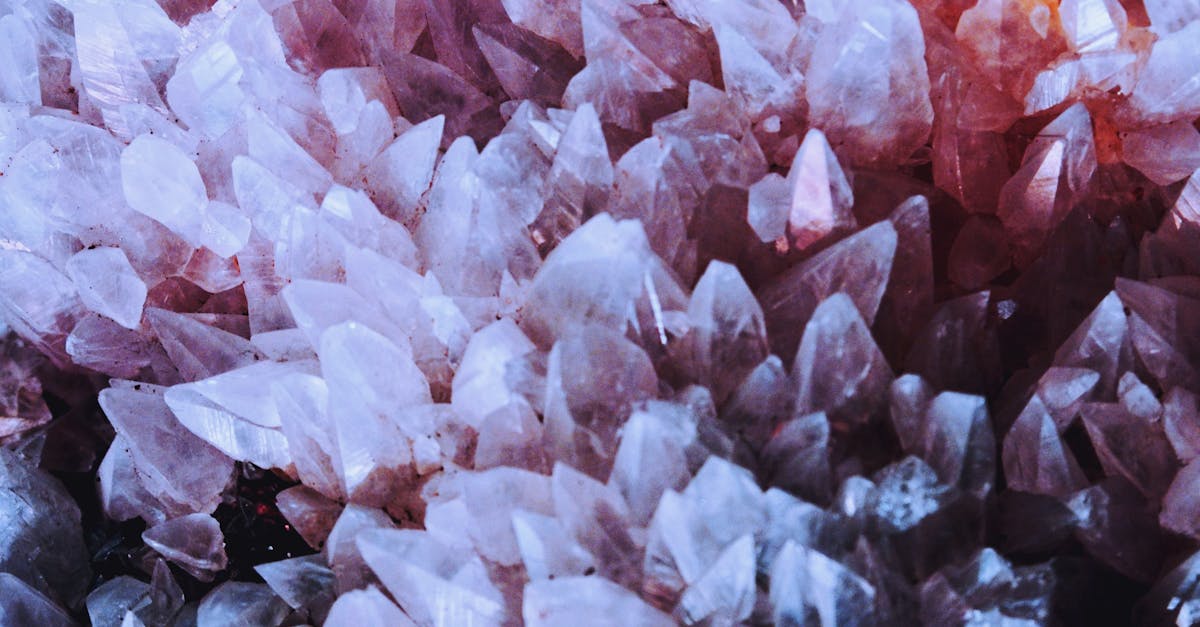 découvrez l'univers fascinant des bijoux : conseils, tendances et astuces pour choisir les plus belles pièces et sublimer votre style au quotidien.