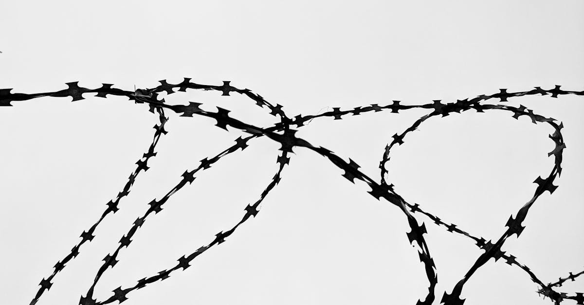 découvrez tout ce qu'il faut savoir sur les restrictions : définitions, contextes d'application, impacts et conseils pour mieux comprendre et gérer les limitations dans différents domaines.