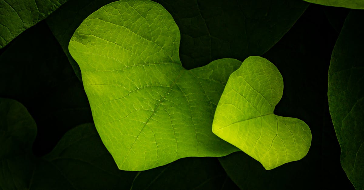 découvrez les technologies et méthodes de captage du carbone pour réduire les émissions de co2 et lutter contre le changement climatique.