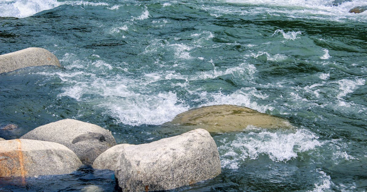 découvrez les stratégies et actions clés en matière de politique climatique pour lutter contre le changement climatique et promouvoir un développement durable.