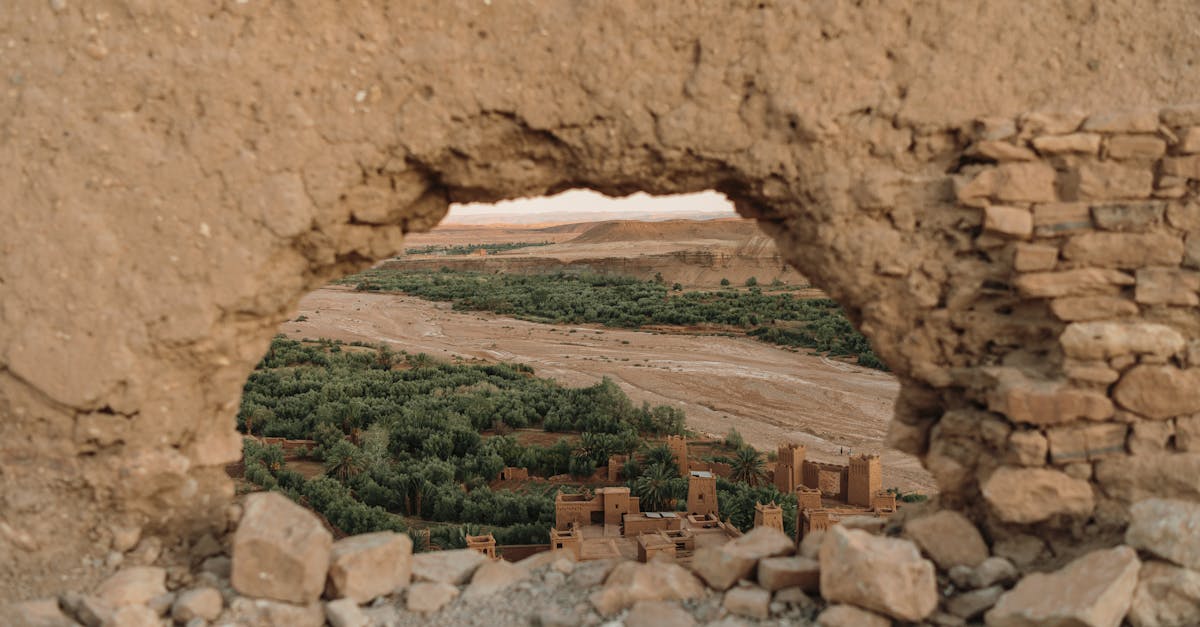 découvrez tout ce qu'il faut savoir sur fcas : actualités, innovations et développements autour du système de combat aérien du futur.