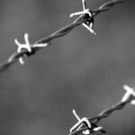 découvrez l'industrie de la défense allemande : innovations, acteurs clés et technologies avancées qui renforcent la sécurité nationale et internationale.