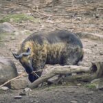 découvrez le concept de nationalisation, ses objectifs, ses impacts économiques et sociaux, ainsi que les exemples historiques majeurs.