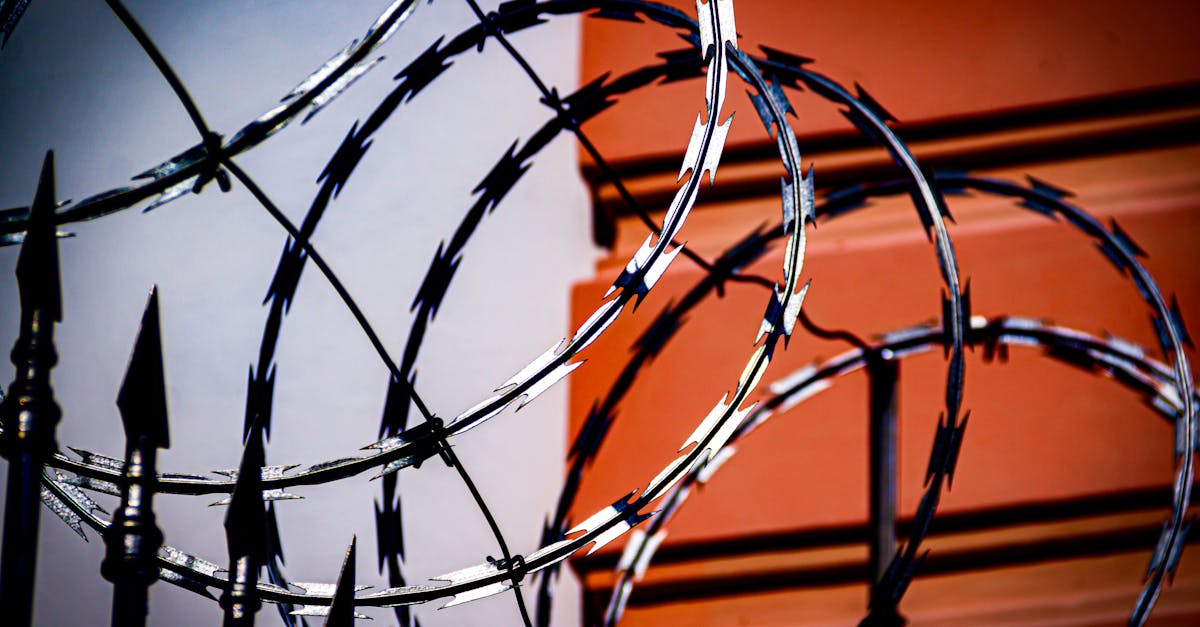 découvrez l'industrie de la défense sud-coréenne, ses innovations technologiques, ses capacités de production et son rôle stratégique dans la sécurité régionale et mondiale.