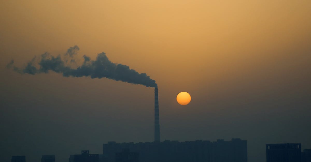 découvrez les principaux défis climatiques actuels et les solutions innovantes pour protéger notre planète face au changement climatique.