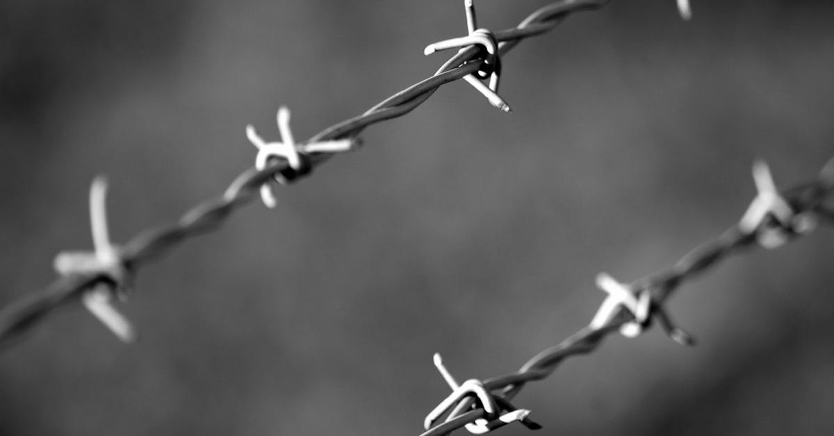 découvrez les innovations et les enjeux majeurs de l'industrie de la défense, un secteur clé pour la sécurité nationale et les technologies avancées.