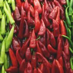 découvrez flavor market, votre destination en ligne pour une sélection savoureuse et variée d'épices, arômes et ingrédients gourmands qui sublimeront toutes vos recettes.