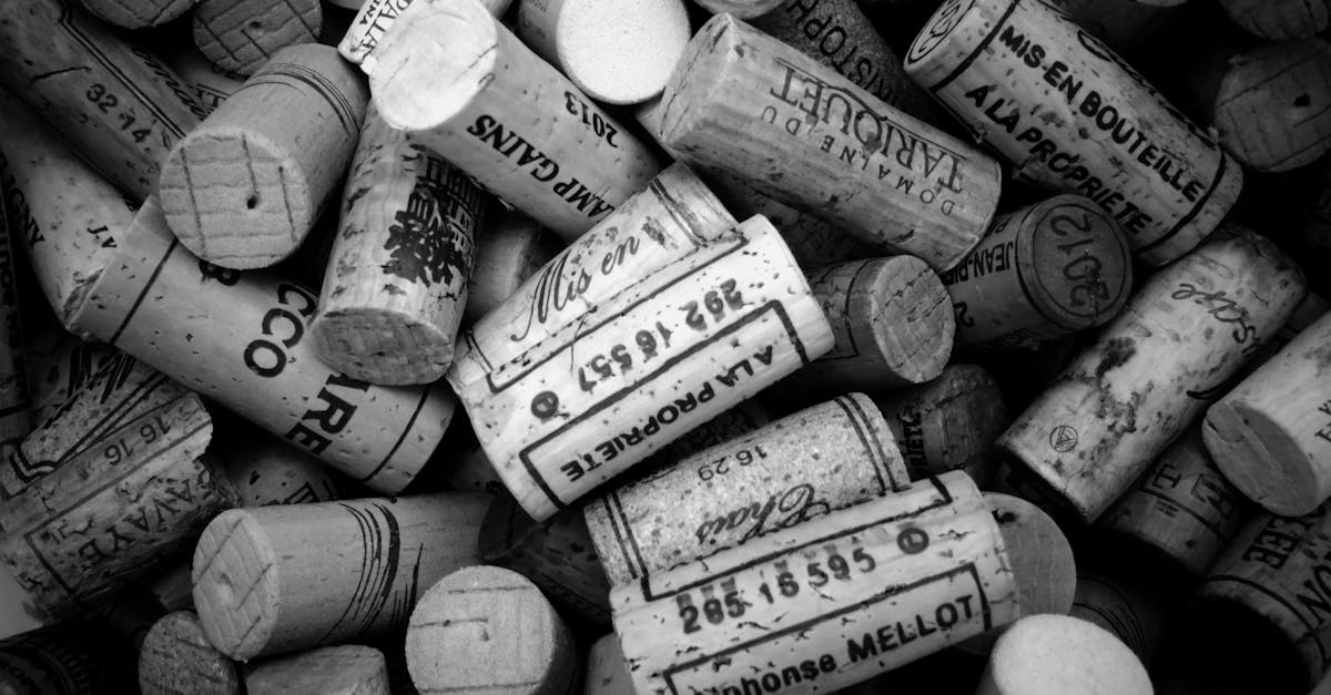découvrez l'industrie viticole française, son histoire, ses régions emblématiques et les vins d'exception qui font la renommée mondiale de la france.