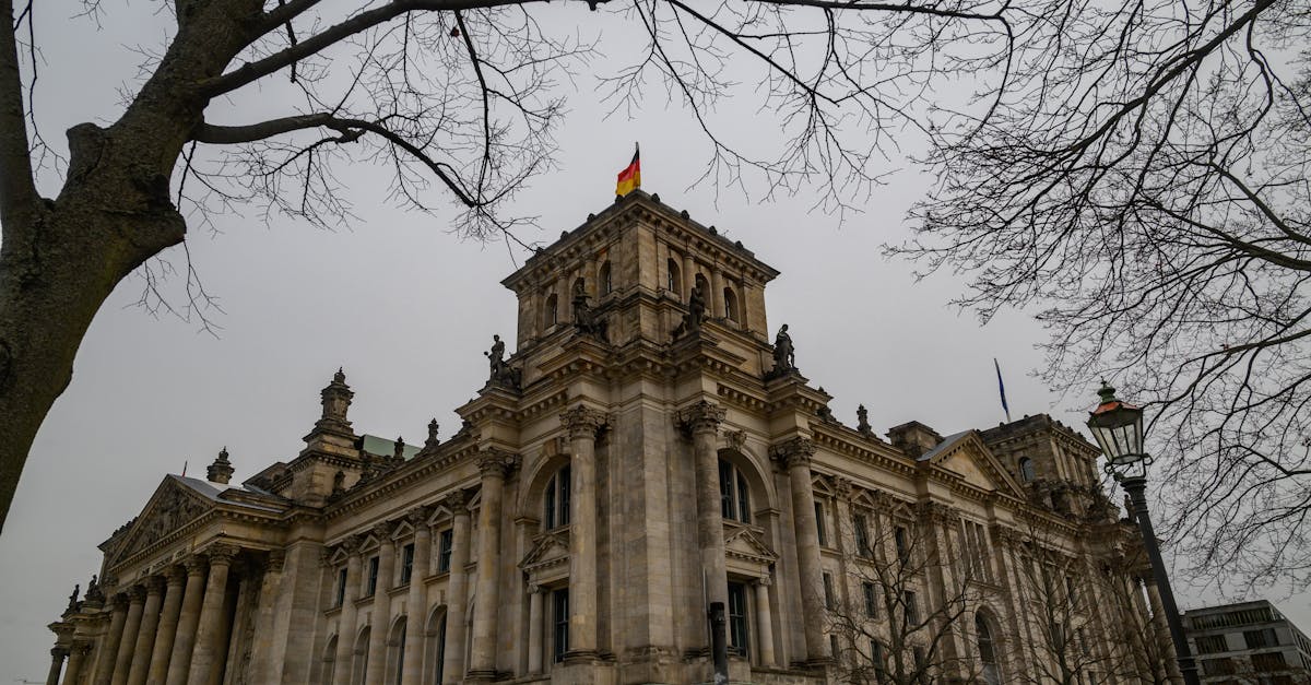 découvrez le rôle et l'impact de l'intervention gouvernementale dans l'économie, visant à réguler les marchés, protéger les citoyens et assurer la stabilité sociale.