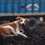 découvrez les défis et solutions des industries à forte consommation d'énergie pour un avenir durable et efficace.