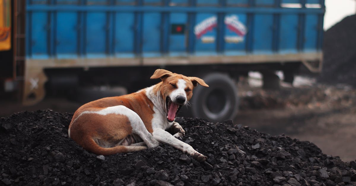 découvrez les défis et solutions des industries à forte consommation d'énergie pour un avenir durable et efficace.