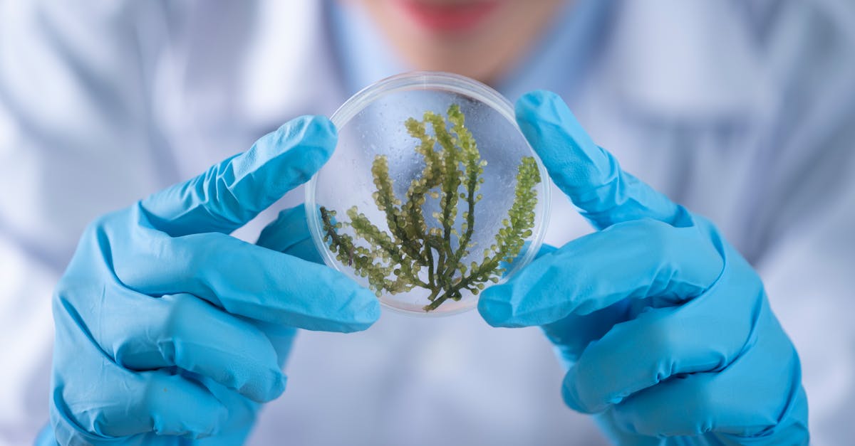 découvrez la chimie allemande, ses innovations, ses chercheurs renommés et son impact dans le domaine scientifique.