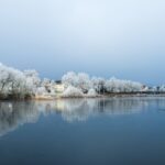 analyse de la baisse des exportations allemandes : causes, impacts et perspectives économiques pour l'allemagne.