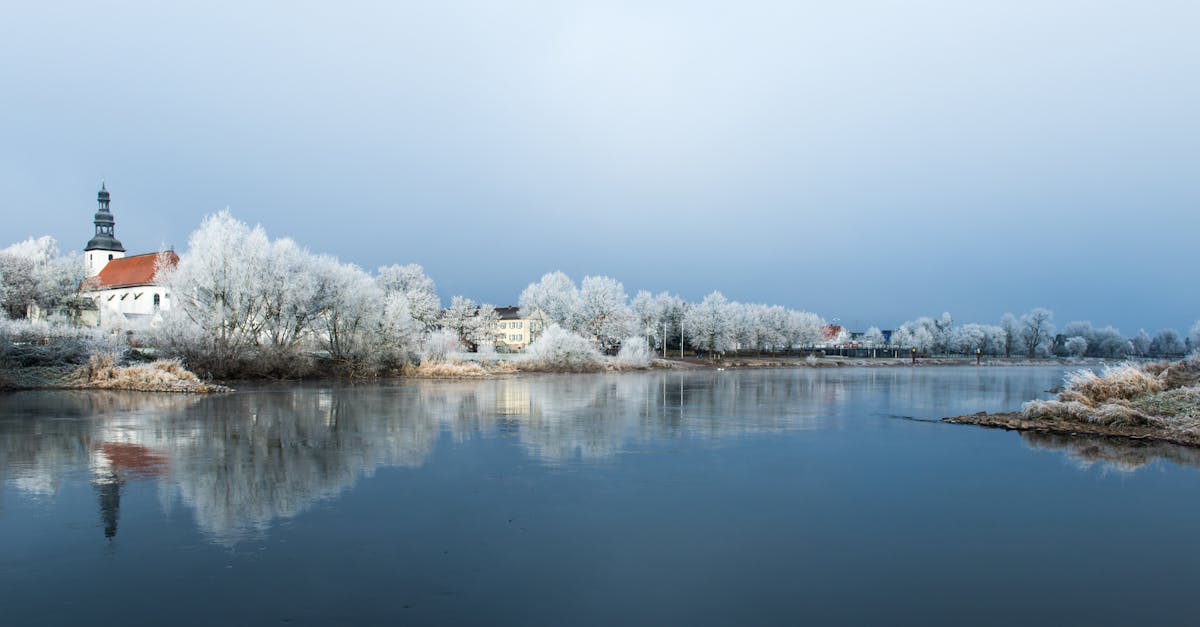 analyse de la baisse des exportations allemandes : causes, impacts et perspectives économiques pour l'allemagne.
