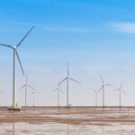 découvrez comment atteindre la neutralité carbone grâce à des stratégies durables et des initiatives respectueuses de l'environnement pour un avenir plus vert.