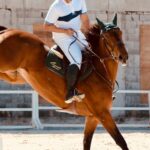 découvrez l'industrie de la défense française à riyad : innovations, partenariats stratégiques et solutions technologiques pour la sécurité et la défense.