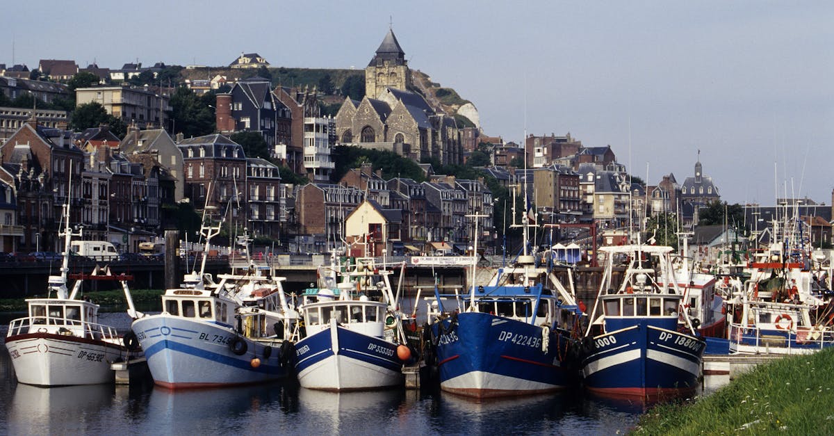 découvrez l'industrie de la pêche française, ses techniques durables, ses principales zones de capture et son importance économique pour la france.