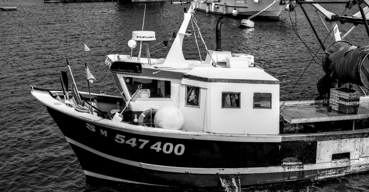 découvrez l'industrie de la pêche en france : ses acteurs, ses techniques durables, et son importance économique et culturelle.