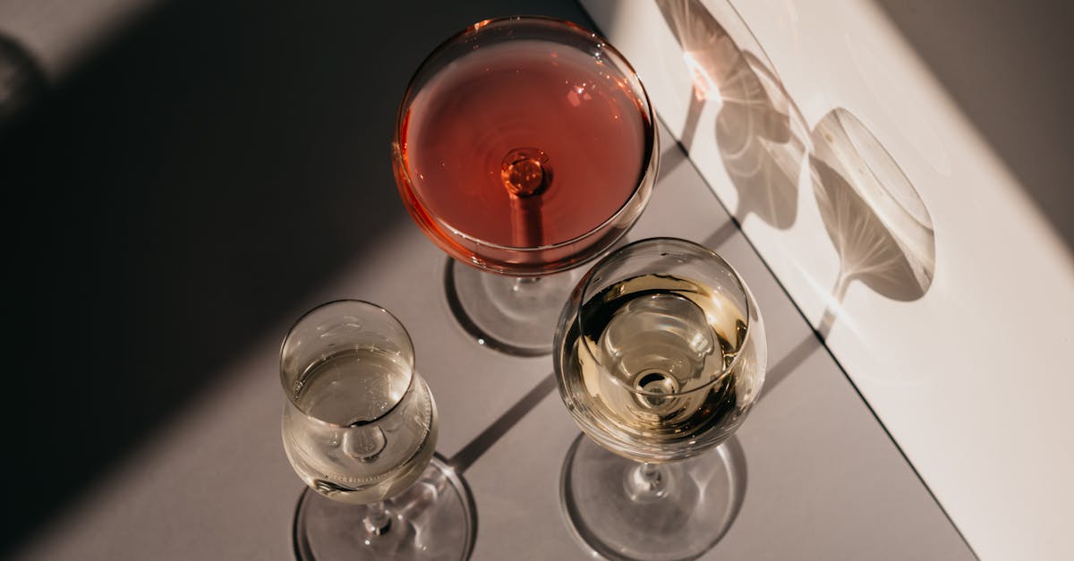 découvrez notre sélection de vins sans alcool, offrant toute la richesse et les arômes du vin traditionnel, sans les effets de l'alcool. parfait pour toutes les occasions.
