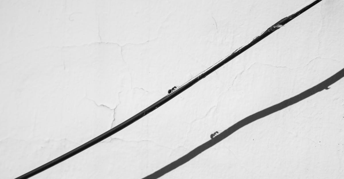 découvrez tout sur les équipements de protection individuelle (epi) indispensables pour assurer votre sécurité au travail. conseils, normes et choix adaptés à vos besoins.