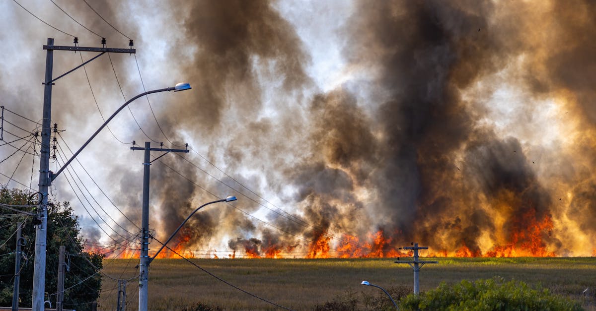 découvrez tout sur l'huile de pyrolyse : définition, procédés de production, applications industrielles et avantages environnementaux.