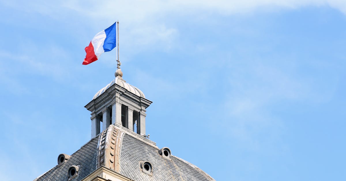 découvrez l'essor de l'intelligence artificielle en france et comment elle transforme les secteurs technologiques et économiques.