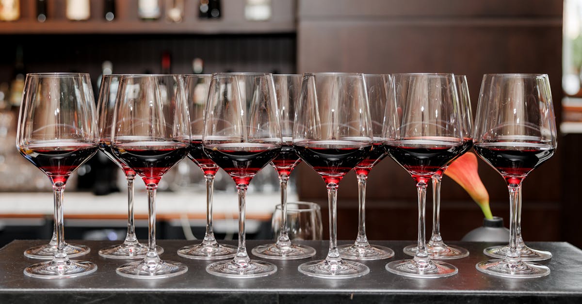 découvrez l'industrie du vin : de la vigne à la bouteille, explorez la production, les tendances et les innovations du secteur viticole.