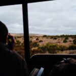 découvrez l'aventure ultime avec nos safaris inoubliables. explorez la faune sauvage, vivez des rencontres exceptionnelles et capturez des souvenirs pour toute une vie.