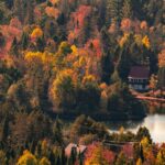 analyse et critique des pratiques forestières au québec, abordant les enjeux environnementaux, économiques et sociaux liés à la gestion durable des forêts.
